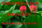 ֹ,Ϋ󷨵ӹףʦ(22)