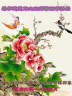 ֹ,ӱ󷨵ӹףʦ(24)