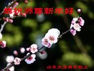 法轮功,山东大法弟子恭祝师尊新年好(24条)