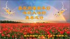 ֹ,㶫󷨵ӹףʦ(24)