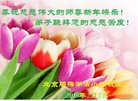 ֹ,󷨵ӹףʦ(22)