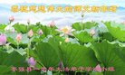 ֹ,ӱ󷨵ӹףʦ(19)