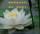 ֹ,ӱ󷨵ӹףʦ(26)