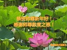 ֹ,ӱ󷨵ӹףʦ(22)