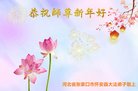 法轮功,张家口大法弟子恭祝师尊新年好(21条)
