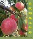 ֹ,ӱ󷨵ӹףʦ(26)