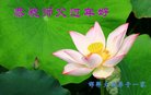 ֹ,ӱ󷨵ӹףʦ(26)