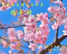 ֹ,ʯׯ󷨵ӹףʦ(28)