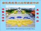 法轮功,北京大法弟子恭祝师尊新年好(24条)