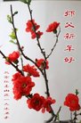 ֹ,󷨵ӹףʦ(24)