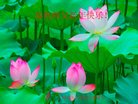 法轮功,广州大法弟子恭祝师尊新年好(25条)