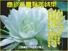 ֹ,Ϋ󷨵ӹףʦ(28)