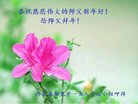 ֹ,ӱ󷨵ӹףʦ(22)