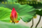 ֹ,Ϋ󷨵ӹףʦ(28)