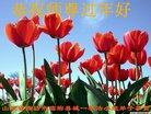 ֹ,Ϋ󷨵ӹףʦ(28)