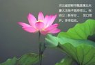 法轮功,河北大法弟子恭祝师尊新年好(24条)