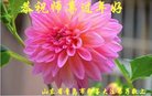 ֹ,ൺ󷨵ӹףʦ(24)