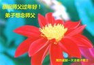 ֹ,Ϋ󷨵ӹףʦ(26)