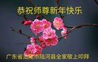 法轮功,广东大法弟子恭祝师尊新年好(25条)