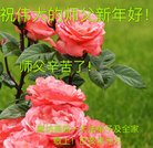ֹ,ȷ󷨵ӹףʦ(24)