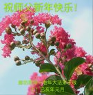 ֹ,ȷ󷨵ӹףʦ(24)