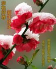 ֹ,󷨵ӹףʦ(27)