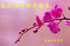 ֹ,󷨵ӹףʦ(27)