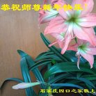 ֹ,ʯׯ󷨵ӹףʦ(25)