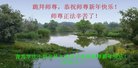 ֹ,ൺ󷨵ӹףʦ(26)