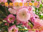 ֹ,󷨵ӹףʦ(27)
