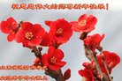 ֹ,Ϋ󷨵ӹףʦ(26)