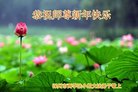 ֹ,ӱ󷨵ӹףʦ(20)