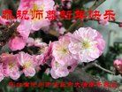 ֹ,ӱ󷨵ӹףʦ(20)