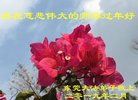 ֹ,㶫󷨵ӹףʦ(25)
