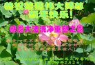 ֹ,żҿڴ󷨵ӹףʦ(20)