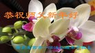 ֹ,ൺ󷨵ӹףʦ(26)