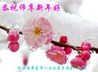 法轮功,石家庄大法弟子恭祝师尊新年好(26条)