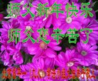 ֹ,󷨵ӹףʦ(23)