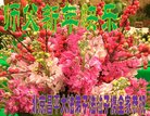 ֹ,󷨵ӹףʦ(23)