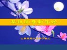 ֹ,Ϋ󷨵ӹףʦ(28)