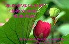 ֹ,żҿڴ󷨵ӹףʦ(22)