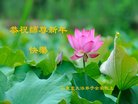 ֹ,Ϋ󷨵ӹףʦ(26)
