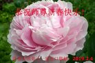 ֹ,ϴ󷨵ӹףʦ(28)
