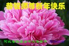 ֹ,ӱ󷨵ӹףʦ(21)