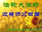 ֹ,Ϋ󷨵ӹףʦ(28)