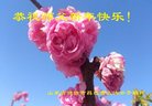 ֹ,Ϋ󷨵ӹףʦ(28)