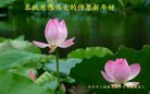 ֹ,󷨵ӹףʦ(27)