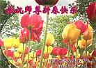 Published on 2/4/2003 ô󷨵ӹףʦ´