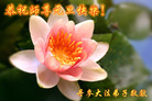Published on 1/1/2006 󷨵ӹףȱΰʦ֣ͼ