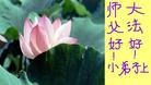Published on 9/19/2005 ֹ,󷨵ӹףʦڿ֣